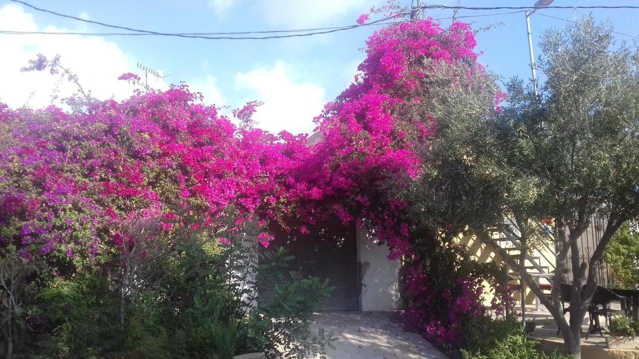 Casa Los Cerezos Villamartin  Bagian luar foto